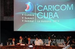 Cuba vững tin trên con đường cập nhật mô hình kinh tế 